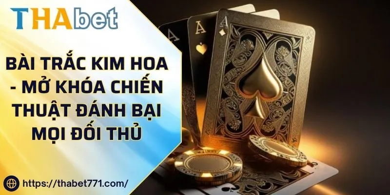 Bài Trắc Kim Hoa - Mở Khóa Chiến Thuật Đánh Bại Mọi Đối Thủ