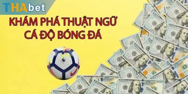 Vai trò của thuật ngữ cá cược bóng đá